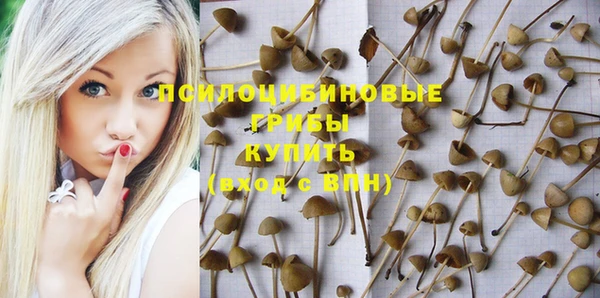 соль ск Алексин
