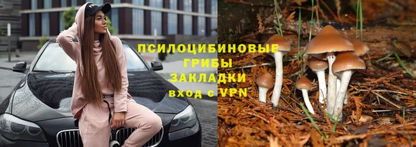 героин Алзамай