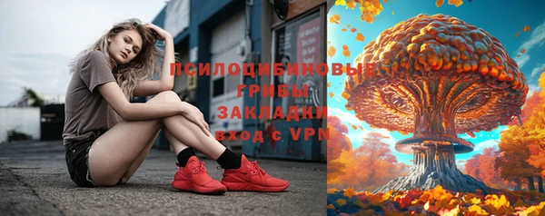 соль ск Алексин