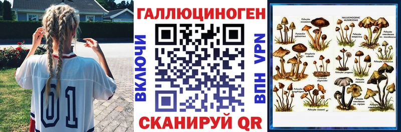 Галлюциногенные грибы Psilocybe кракен вход Рубцовск